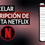 como anular la suscripción de netflix